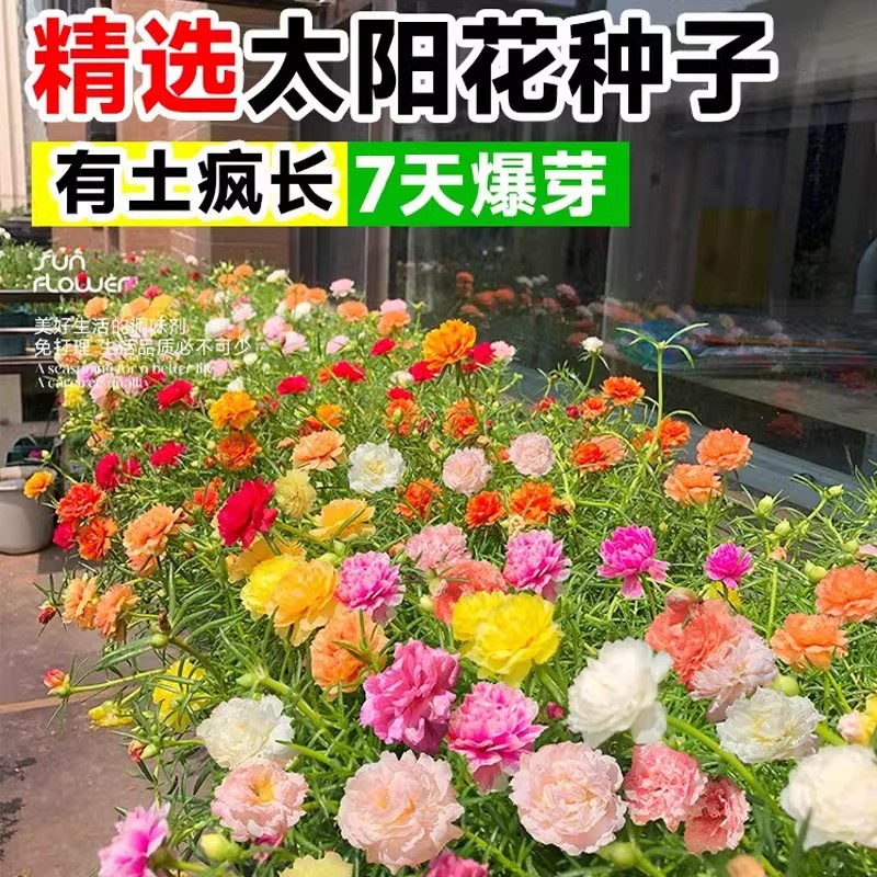 25年最新｜飞燕姐姐私藏好物推荐品牌必买清单！这5个国货宝藏太顶了