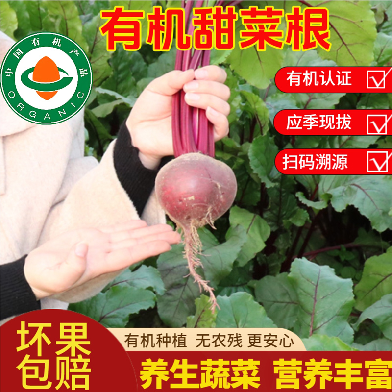 有机甜菜根：鲜摘红甜菜头，健康无农残，营养榨汁新选择！