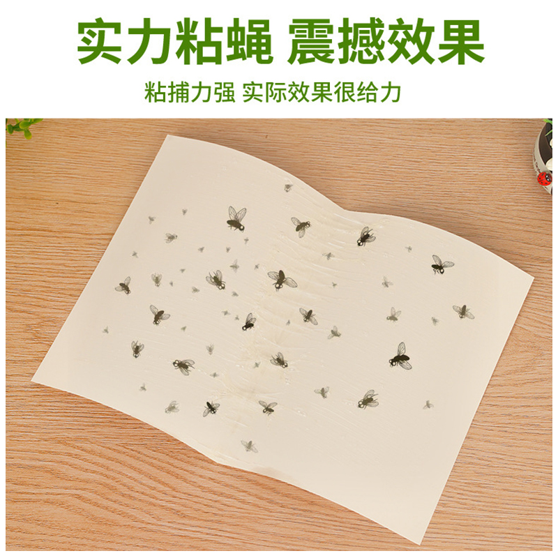 苍蝇贴真的能一扫光？灭蝇神器实测！家里有苍蝇的姐妹快看！
