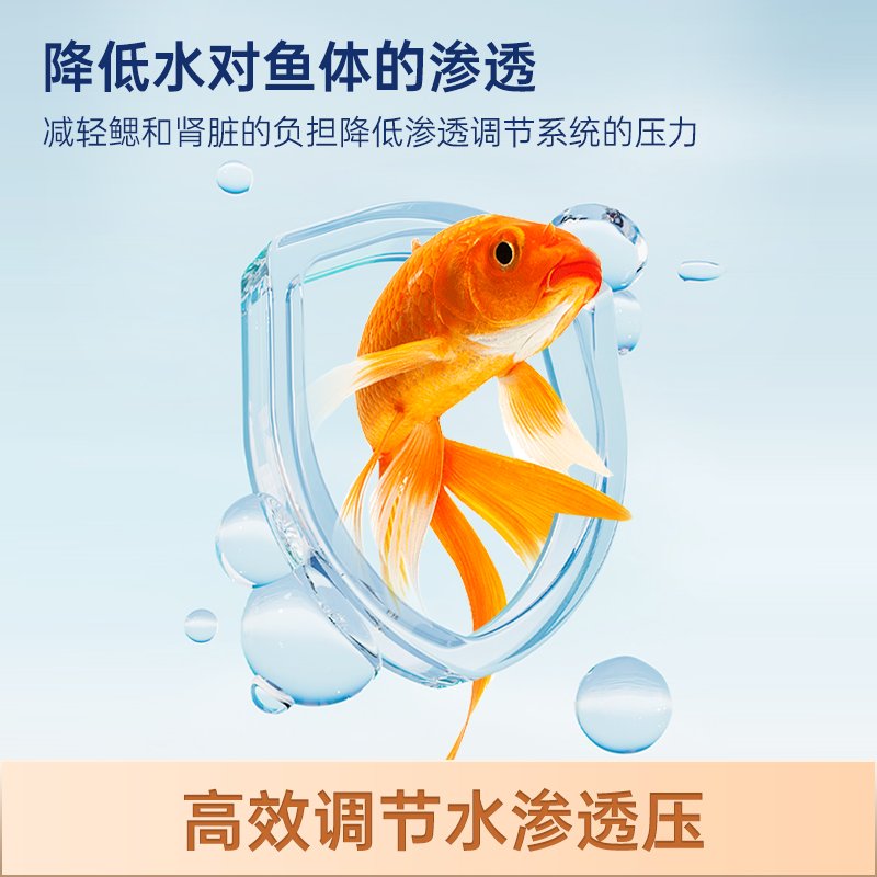 黄狐狸七彩黄斑蓝带斐济双色狐狸鱼：海水缸里的梦幻精灵，你真的了解它们吗？