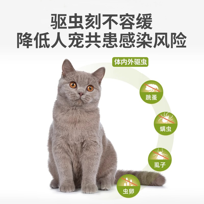 为什么我在速卖通店铺找不到想要的商品？如何解决这个问题？