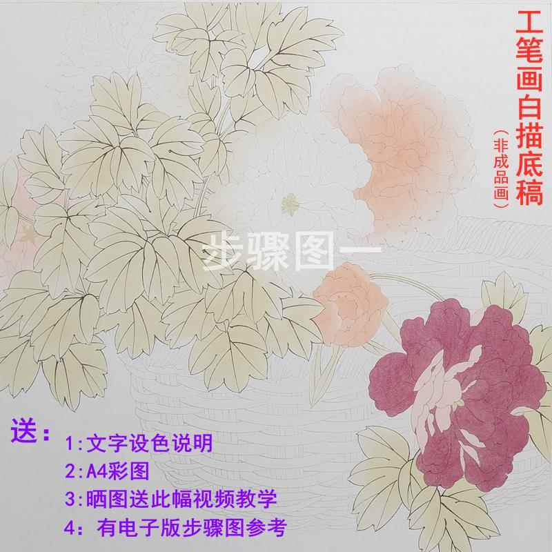 高清素材手勾可上色工笔画白描底稿，解锁你的艺术潜能