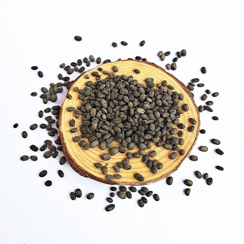 纯野生黑豆500g：天然营养，健康好滋味！