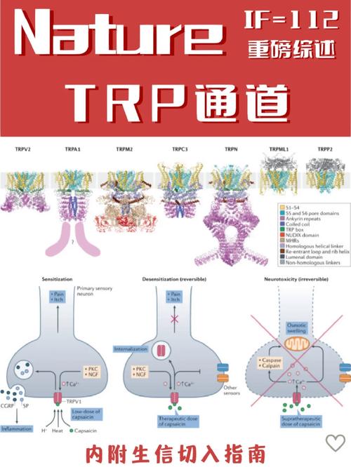 跳跃之门进化,跳跃基因——生物进化中的神秘力量