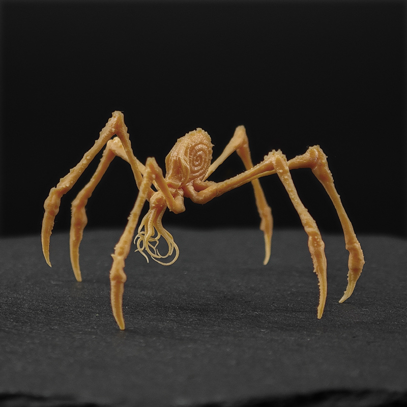 【摔不坏踩不烂】大号30cm行星哥斯拉泰坦巨兽，硬核收藏新宠！