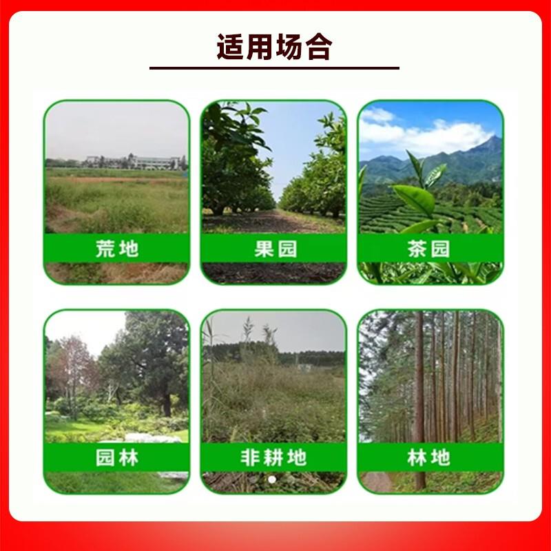 百草休：第四代升级果园茶园神器，小飞蓬芦苇茅草防治新革命！