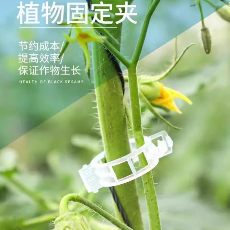 绿植果树植物固定夹卡扣藤蔓固定器秧苗爬藤支撑杆果蔬秧苗吊秧夹：园艺达人的必备神器！