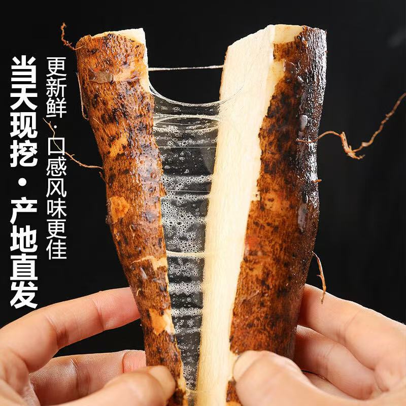 荒野大镖客2作弊码在哪里输入？小白玩家必看教程