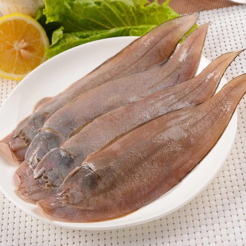 青岛海鲜盛宴：龙利鱼、舌头鱼、踏板鱼、鳎米鱼，尝鲜指南！
