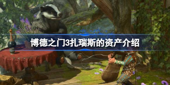 博德之门3扎瑞斯的资产是什么 博德之门3扎瑞斯的资产介绍