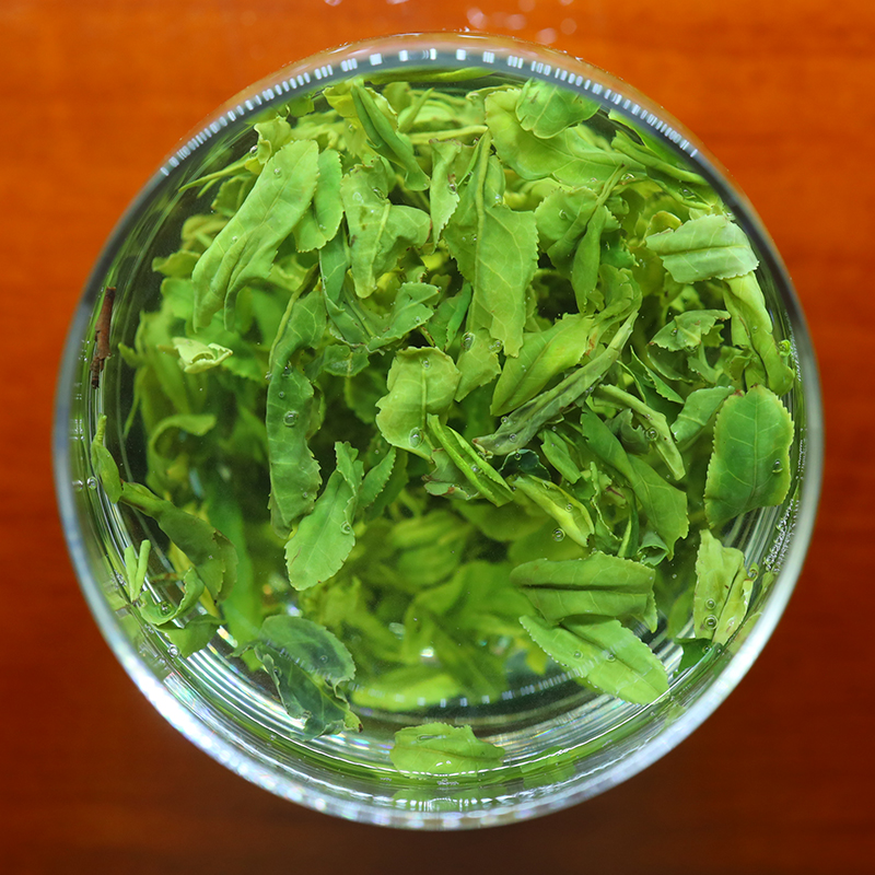 特级AAA日照绿茶：春日第一抹鲜香，高山云雾中的珍稀茶礼