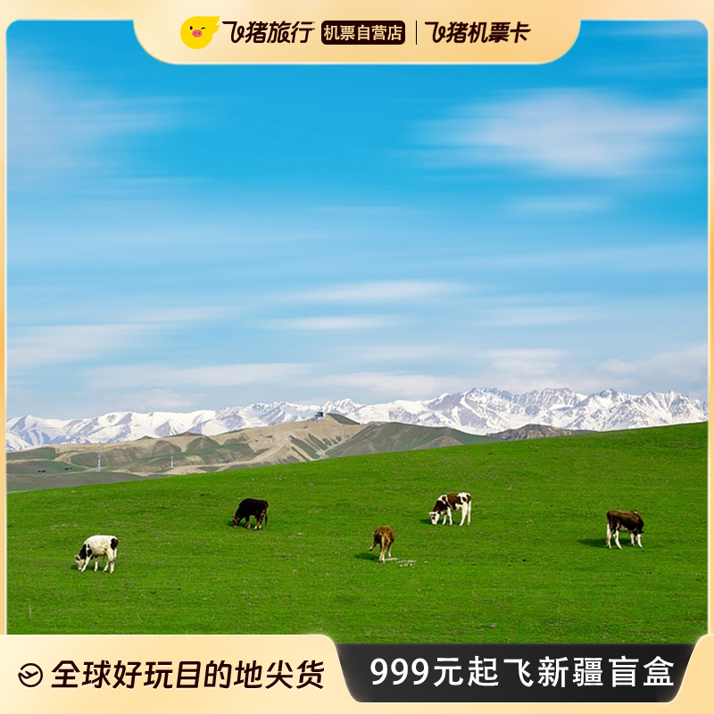 999元飞新疆盲盒·乘风姐姐同款目的地，你的梦想之旅开启了吗？