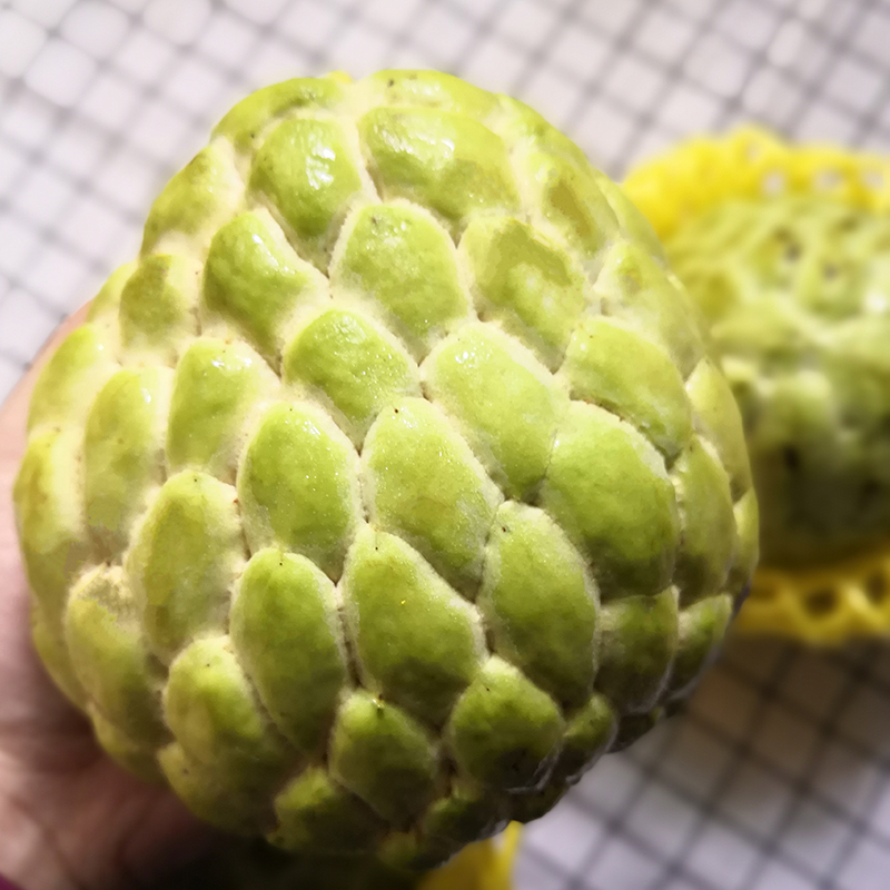 【顺丰包邮】泰国大目释迦果：当季孕妇水果，新鲜特大果，吃出好心情！
