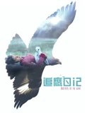 追鹰日记