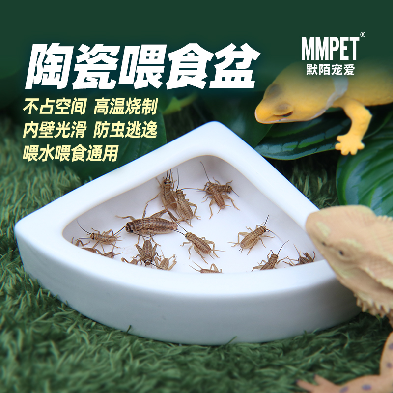 树蛙水盆大揭秘：给你的小宠物一个五星级泡澡体验！