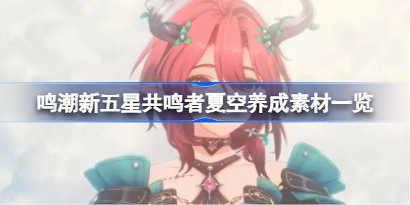 鸣潮新五星共鸣者夏空养成素材有哪些 鸣潮新五星共鸣者夏空养成素材一览