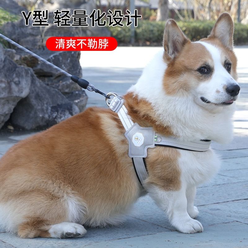 新款狗狗Y型马鞍式胸背带+牵引绳，小中犬四季通用，遛狗神器来啦！