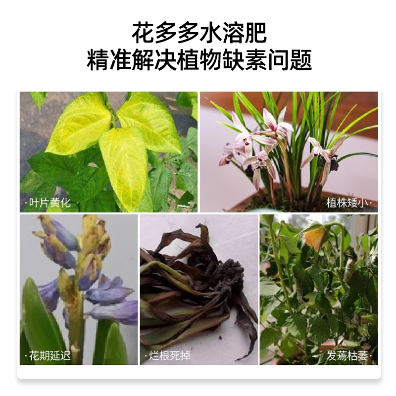 硫酸亚铁花肥料水溶肥：盆栽救星，轻松治黄叶，让植物焕发生机