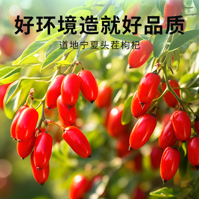 科罗拉机油：给你的四冲程发动机注入活力，动力满满