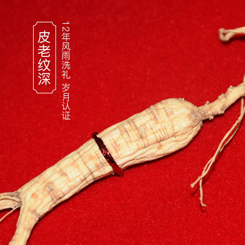 张太和15年林下参10g礼盒装：长白山干山参，送礼佳品，节日必备!