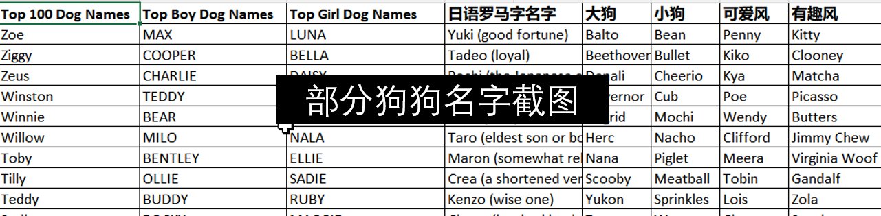 宠物店取名100个霸气，让你的店铺瞬间高大上，绝绝子！