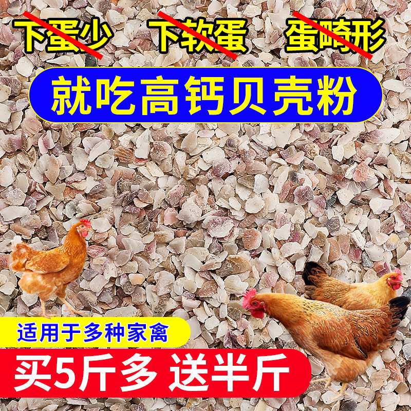 恒清不锈钢碎菜机：家禽养殖界的蔬菜饲料神器，让你轻松喂养鸡鸭鹅！