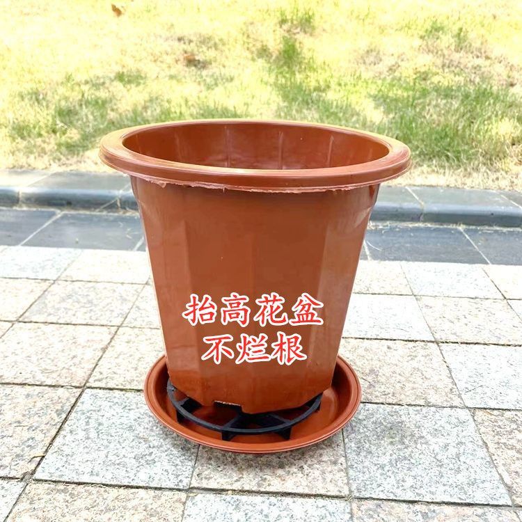 3毫米特厚不锈钢移动底座花盆托架，家居装饰必备神器！