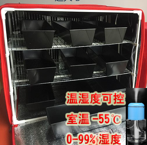 发酵箱：解锁家庭烘焙新境界，面包酸奶米酒一网打尽！