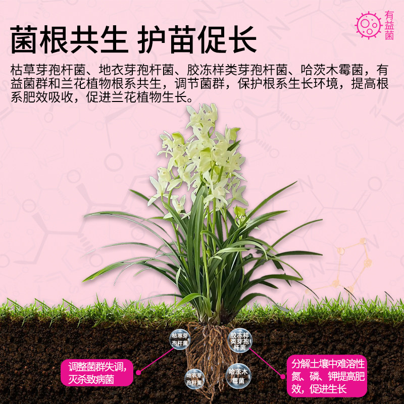 如何选择正品植物活菌粉兰花专用肥?