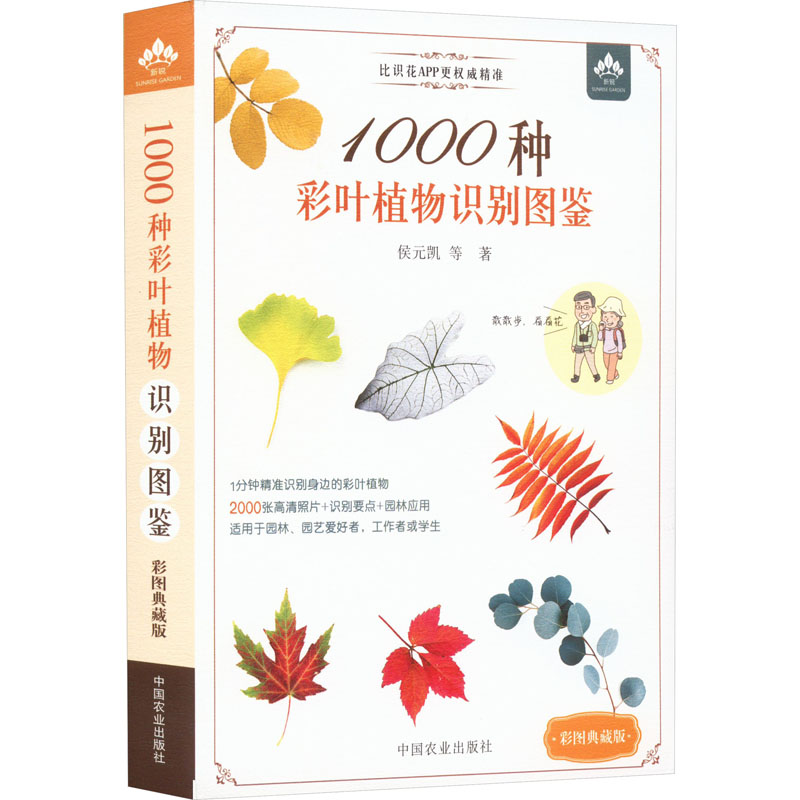 正版1000种彩叶植物识别图鉴：园林绿化的宝典，你值得拥有！