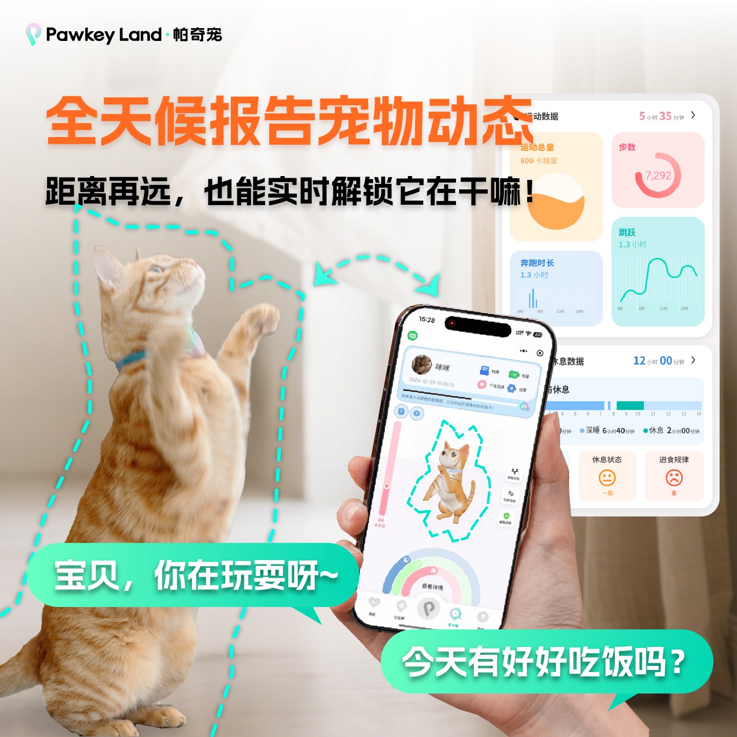 帕奇宠AI智能项圈猫猫版：守护猫咪的秘密武器，精准定位不再迷路！