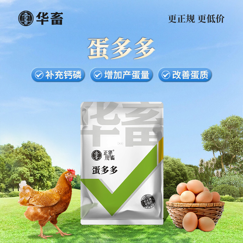 蛋多多增蛋宝：让你的鸡鸭鹅产蛋如流水般顺畅！✨