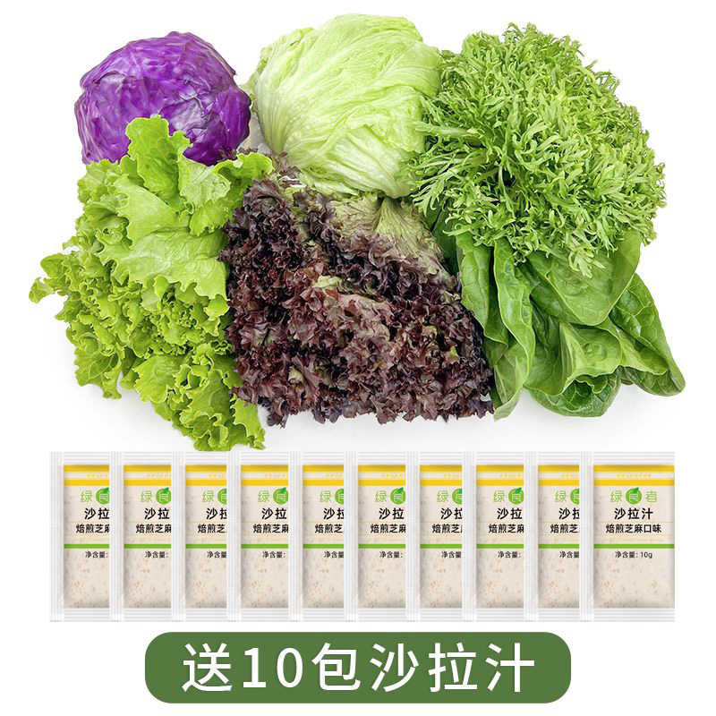 新鲜生菜组合4斤，混合沙拉菜生吃轻食套餐，你的健身蔬菜包来啦！