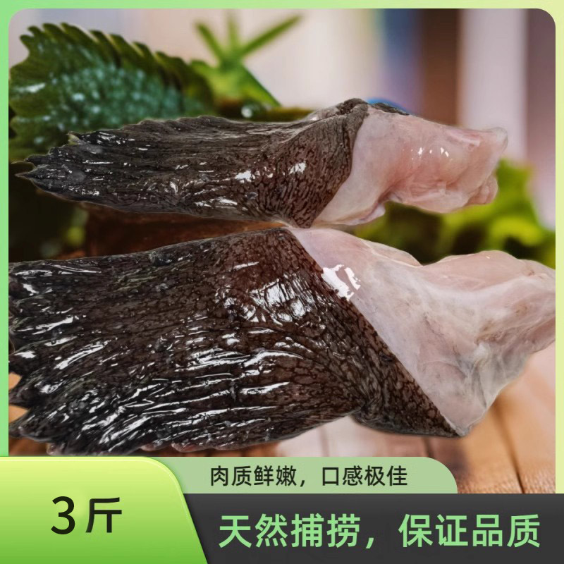 安康鱼翅膀 vs 深海鱼鳍：谁才是真正的海洋王者？