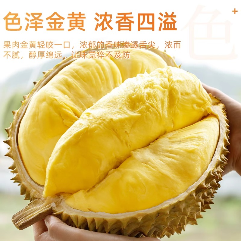 为什么榴莲被称为“水果之王”？功效与营养价值大揭秘！