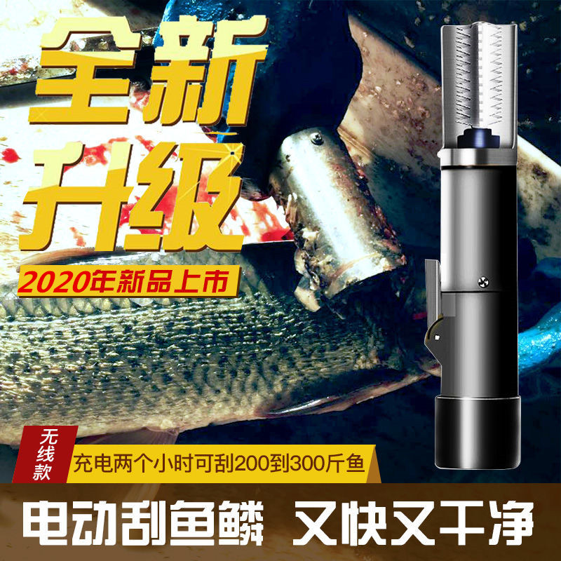 渔博士电动刮鱼鳞器：告别繁琐，让去鱼鳞变得轻松有趣！