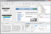 WebSundew Standard4.6.0 Build 1315