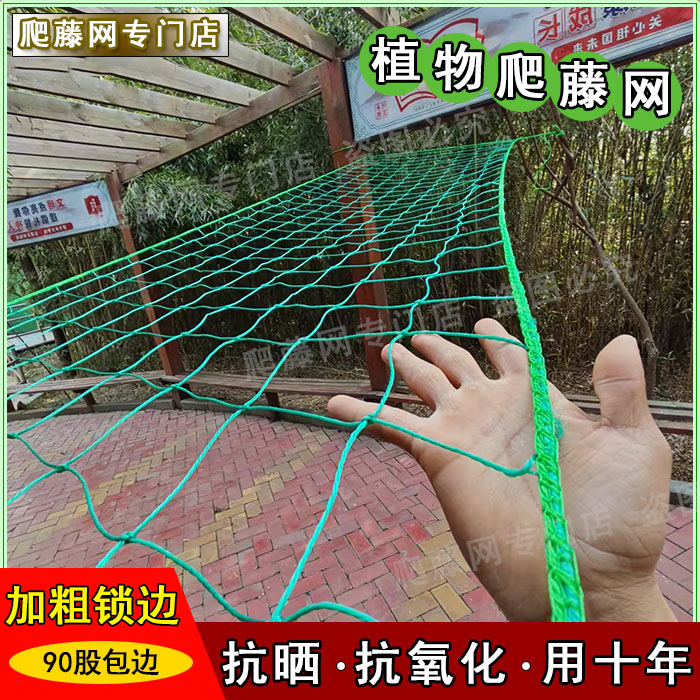 园艺神器！爬藤网搭架网真的太香了！百香果葡萄都能轻松种！