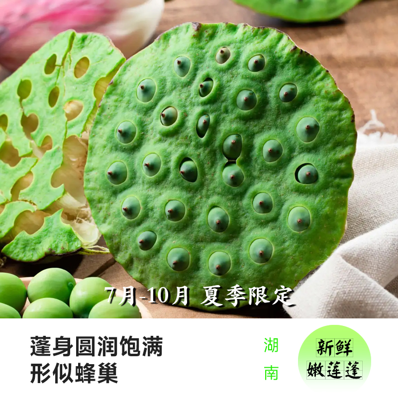 顺丰包邮新鲜莲蓬，湖南特产生吃莲子，当季水果湘莲，2025年的美味先睹为快！蓮菂界的宝藏！蓮菂界的宝藏！蓮菂界的宝藏！