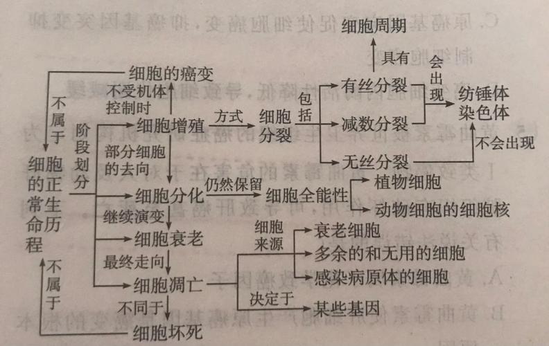 从细胞到奇点：进化永无止境,生命的起点