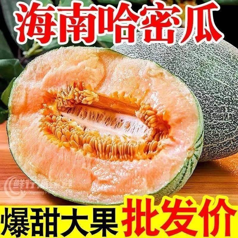 冷冻海蔚尔墨鱼滑：火锅必备，鲜美升级，让你的味蕾嗨起来！️