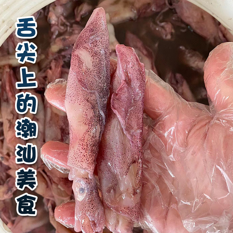 尼仔解咸鱿鱼：汕尾陆丰潮汕特产，鲜香解馋的秘密武器！