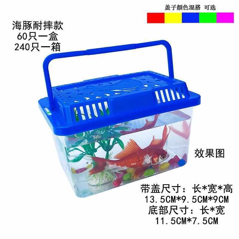 手提宠物饲养盒：如何选择最适合你的迷你鱼瓶、龟瓶和爬虫箱？