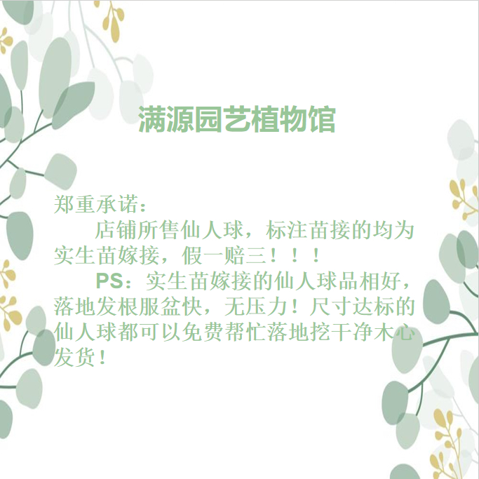 虎爪包来袭！萌翻天的早餐新宠，让你的早晨活力满满!