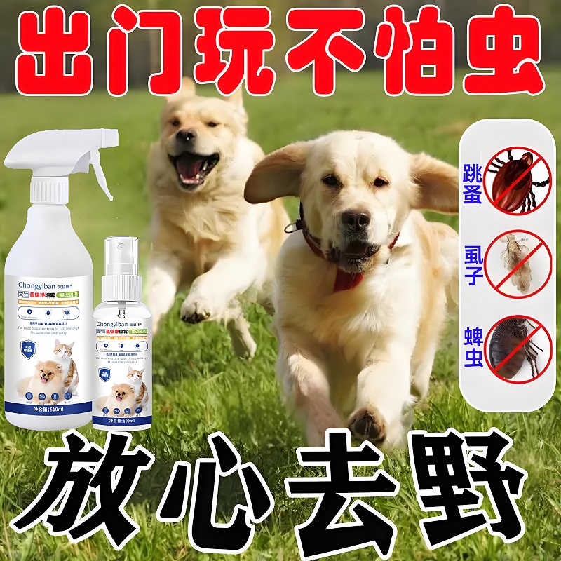 上海微创猫狗外科手术：守护宠物健康的微创奇迹！