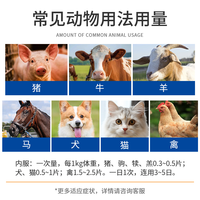 盐酸多西环素片：宠物感冒咳嗽的全能解药，鸡鸭鹅猫狗通吃的兽药神器！