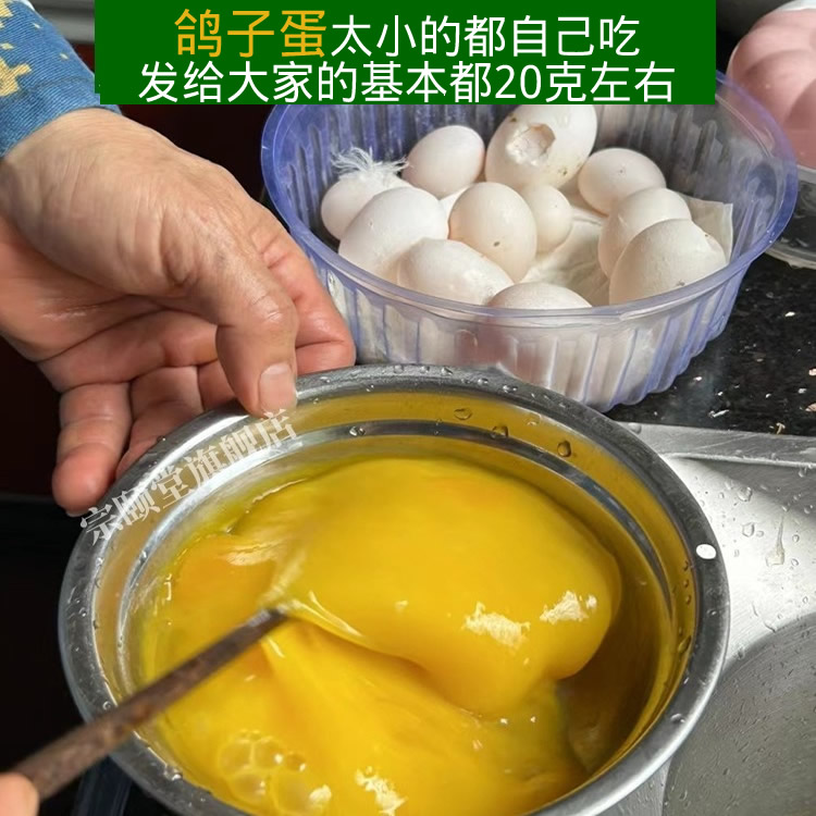 正宗信鸽蛋散养土鸽子蛋30枚！天然营养，宝宝妈妈放心吃！