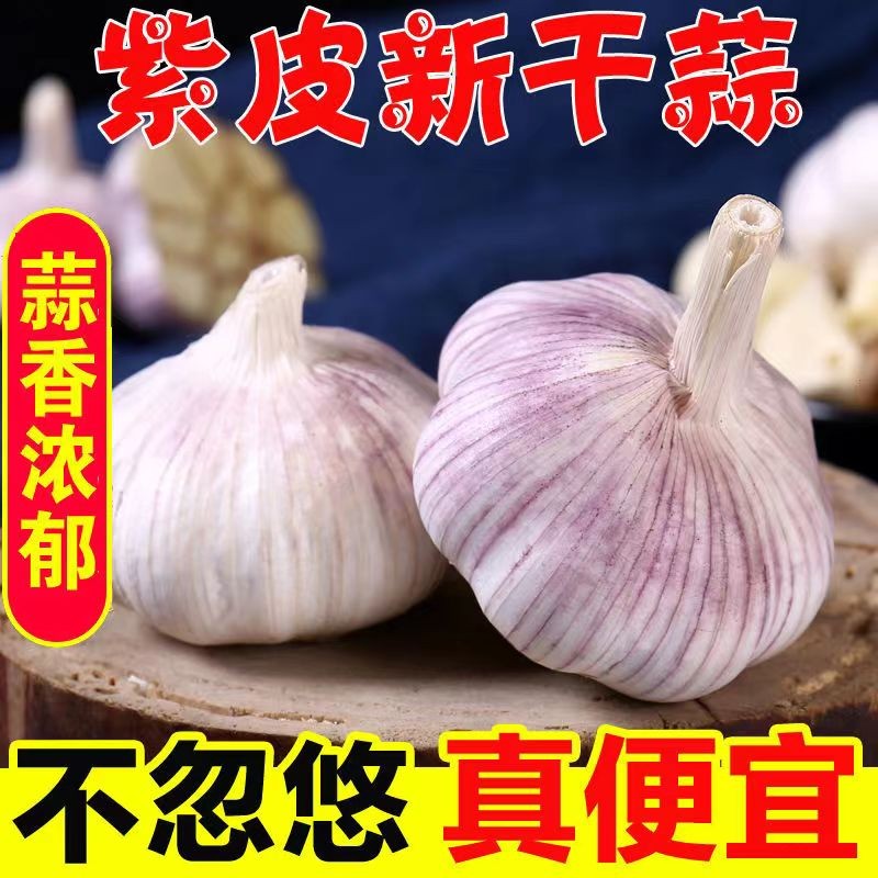 4.0-4.5mm进口头层野牛皮：硬朗中挺，纹理粗犷，耐用之选！