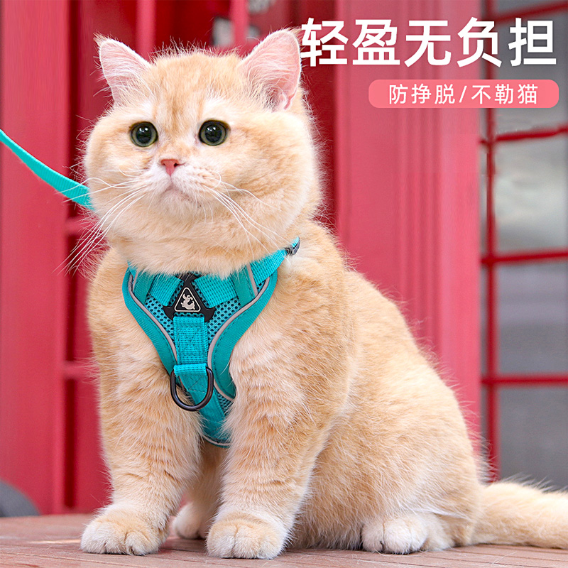 北京旅游必带：这些神器让你玩得嗨、拍得美、省下大把钱！
